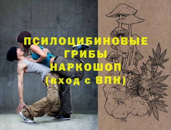 дурь Алексин