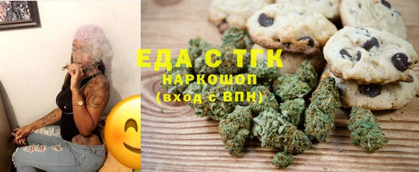 хмурый Абаза