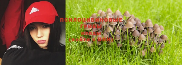 МДПВ Абдулино